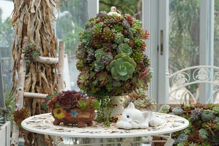 creative succulent garden diy