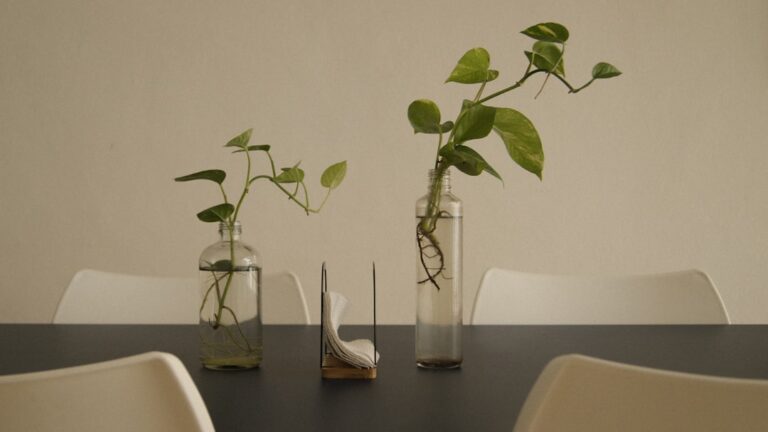 tabletop planter ideas
