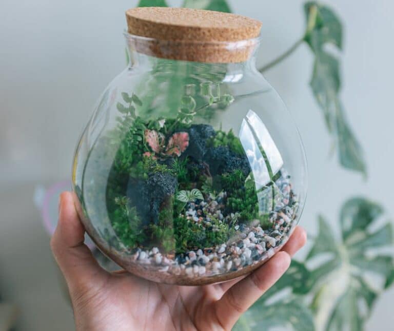 nature inspired home terrariums
