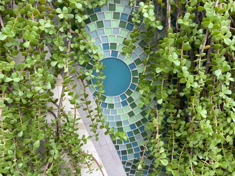 Creative terrarium wall designs