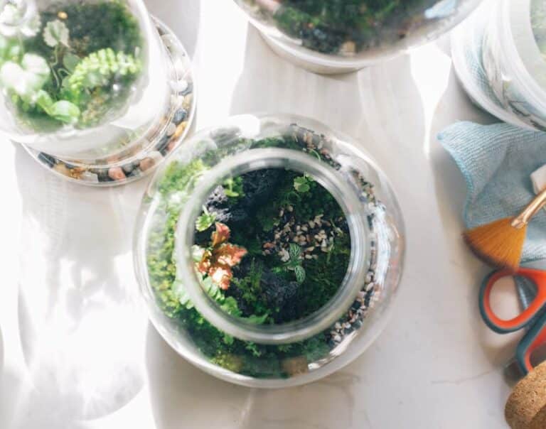 woodland terrarium craft tutorial