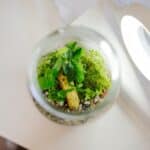 Easy ecosystem jar projects