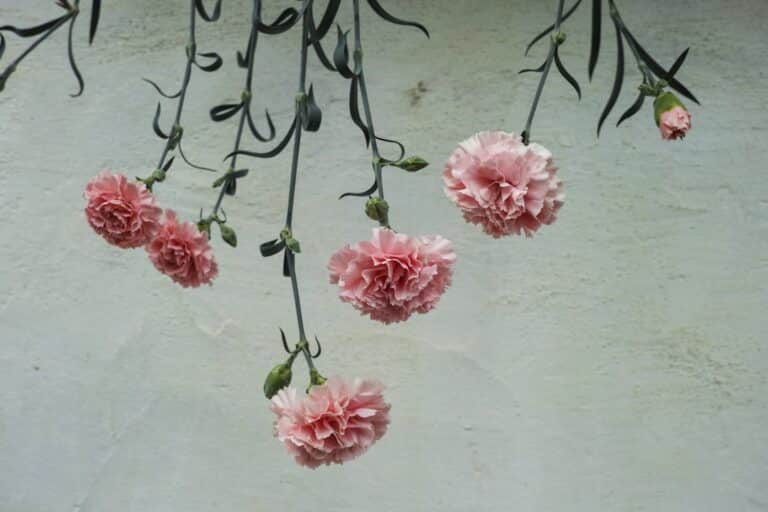 diy hanging flower wall