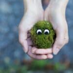 moss wall decor crafts
