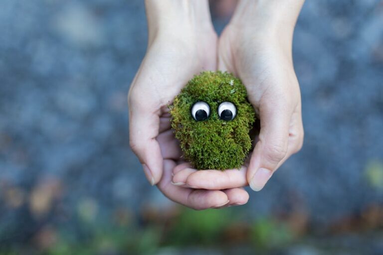 moss wall decor crafts
