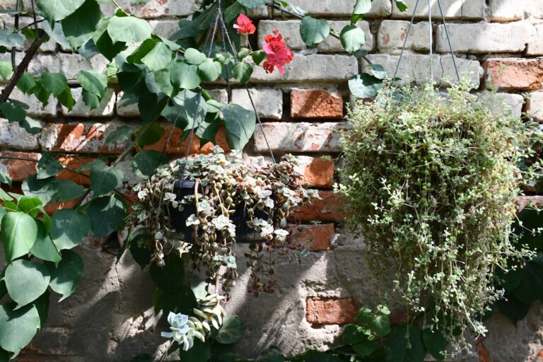 diy garden wall planters