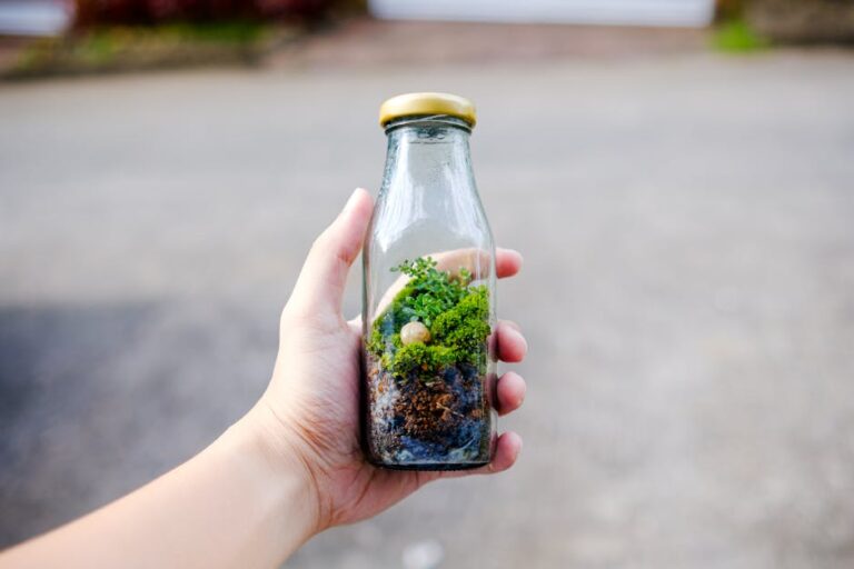 recycled bottle terrarium ideas