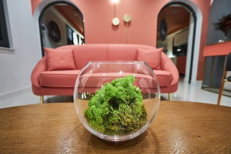 indoor living moss decor
