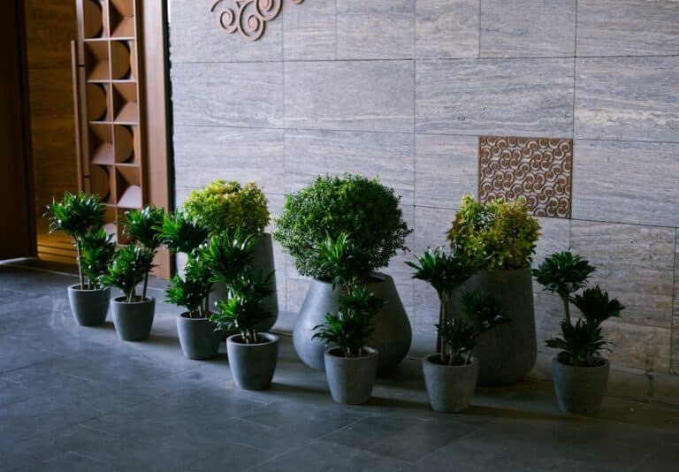 diy succulent wall planter