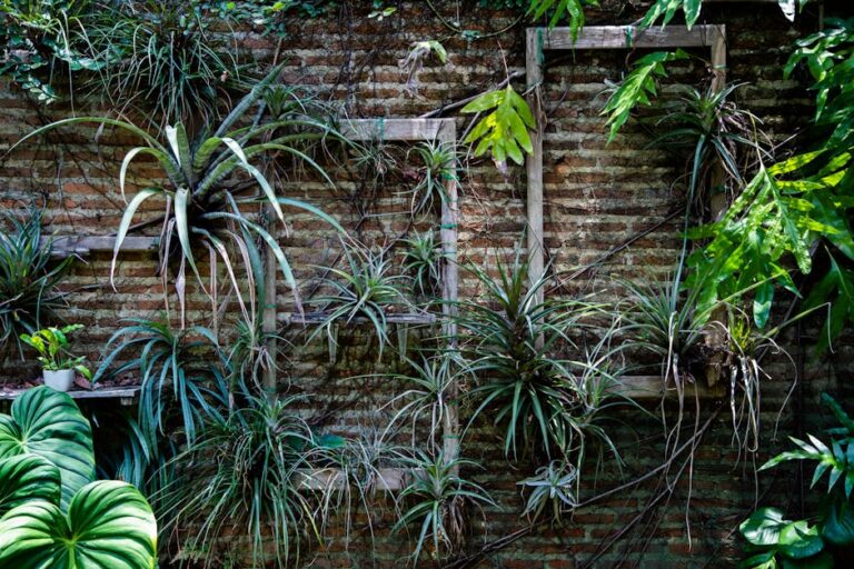 diy green wall outdoor