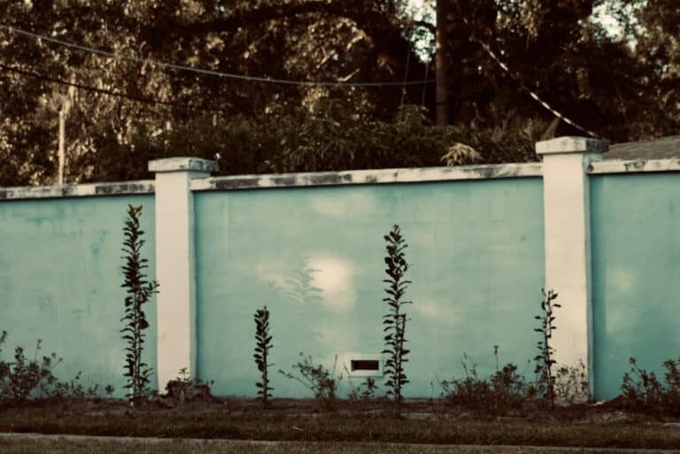 diy living wall outdoor