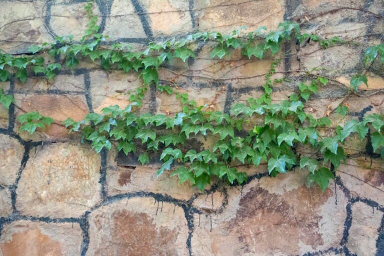 diy herb wall planter