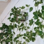 diy self watering wall planter