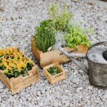 diy herb garden wall