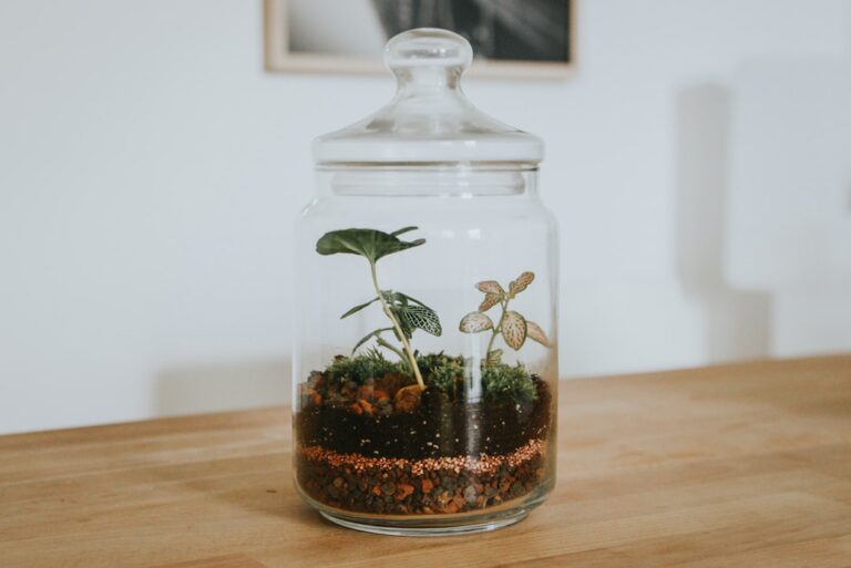 diy succulent terrarium ideas