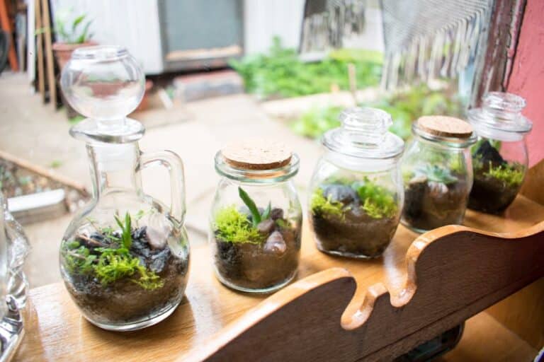 fairy garden terrarium ideas