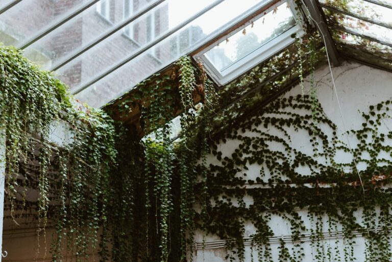 diy indoor vertical garden wall