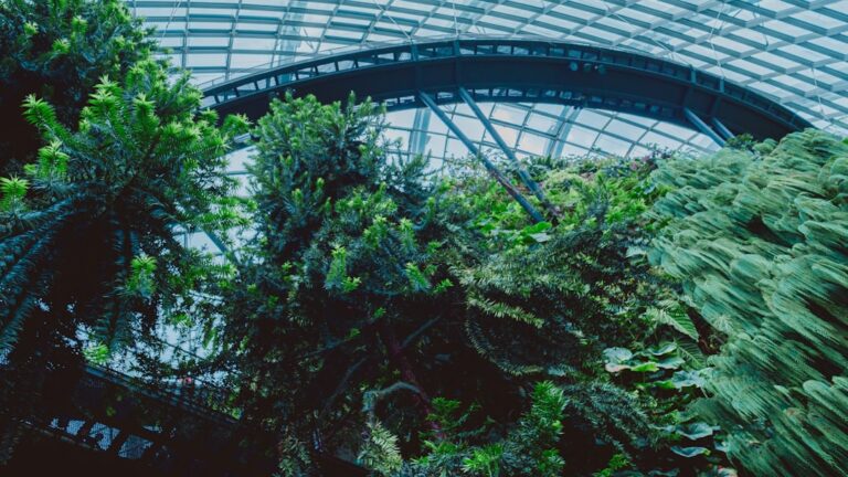 large tabletop terrarium guide